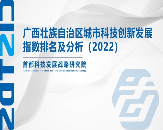 大鸡吧后入大屁股在线【成果发布】广西壮族自治区城市科技创新发展指数排名及分析（2022）